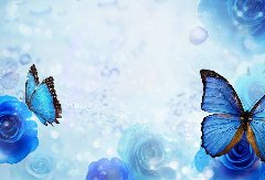 山東印花企業涂料黑色滿底印花手感改善與提升方案