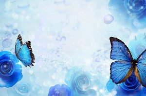 山東印花企業涂料黑色滿底印花手感改善與提升方案