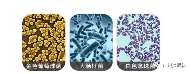 1624262726455780.jpg 640.jpg